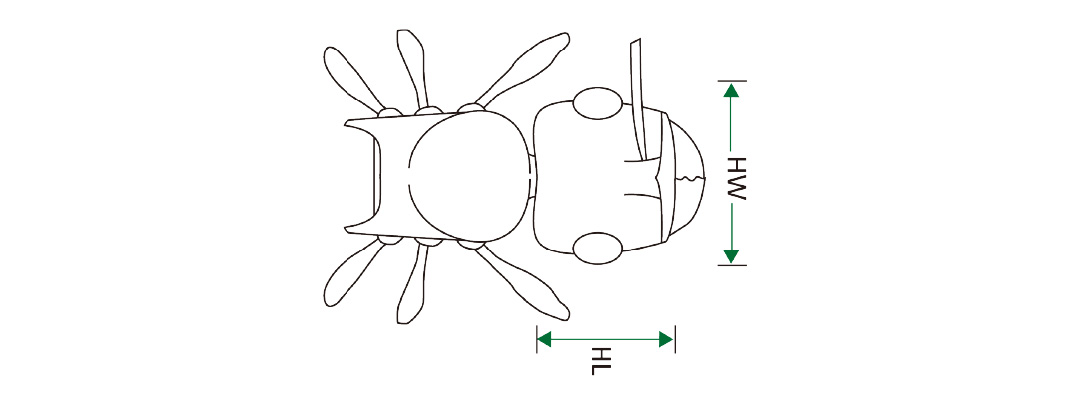 工作區域 19-80_1711607694.jpg
