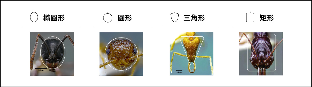 工作區域 32-80_1711607694.jpg