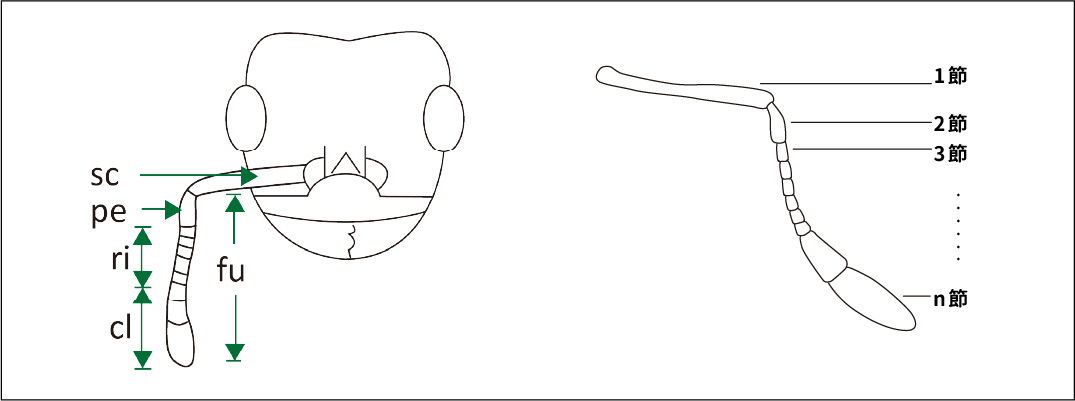 工作區域 34-80_1711607694.jpg