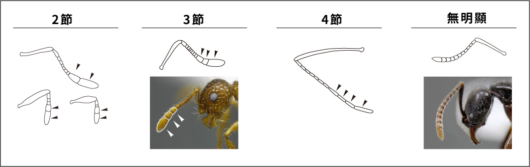 工作區域 35-80_1711607694.jpg