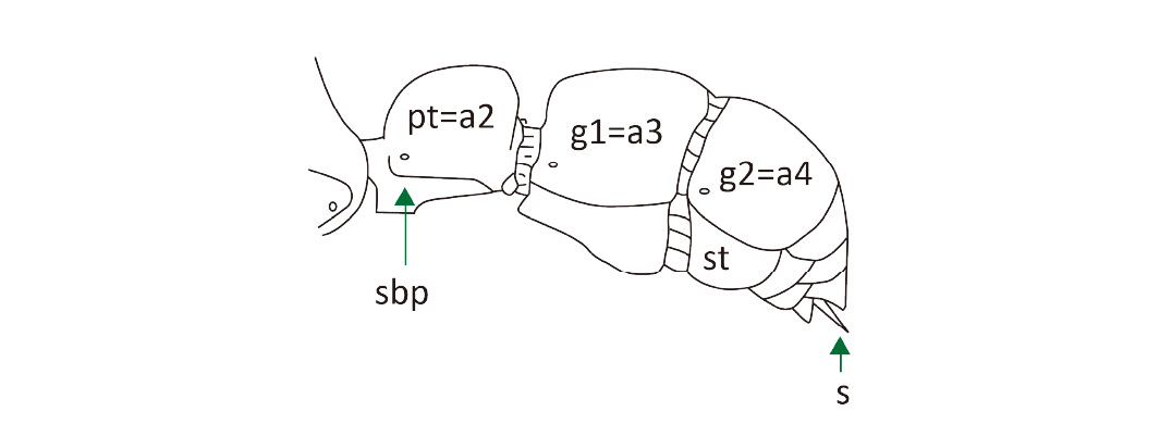 工作區域 41-80_1711607694.jpg