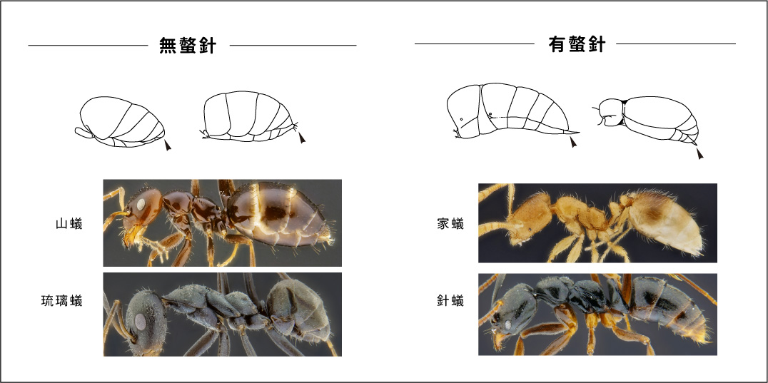 工作區域 42-80_1711607694.jpg